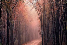 [运动一起赢]贵州：第三届“美丽乡村”篮球联赛总决赛圆满落幕.