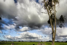 贝蒂斯体育总监：希望拿到欧战资格，这会有利于留下安东尼和引援.