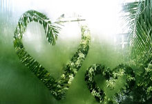 蓝鲸体育：阿尔马达轰惊天世界波！阿根廷打破僵局1-0乌拉圭.