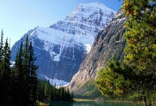 蓝鲸体育：网友：妥妥的“国乒团建”！王楚钦和孙颖莎冠军自拍来了央视体育.